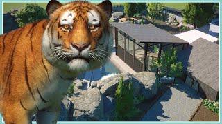 Siberian Tiger Conservation Center | Planet Zoo Speed Build