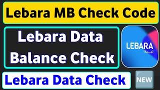 Lebara Mb Check Code | Lebara Data Check | How To Check Lebara Data Balance