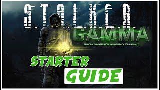 Complete Beginner's Guide for STALKER GAMMA | Health System, Crafting & Repairs