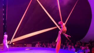 Polina Uvarova silks act onboard Celebrity ascent 2024