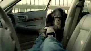 Trunk Monkey Car Security