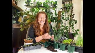 Bumping Up Your Seedlings with Ashley Labrecque, The Soil Scientist