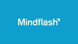 Mindflash 30 second overview
