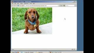 How to Insert an Image in a Webpage (HTML / XHTML)