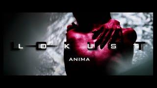 LOKUST // ANIMA