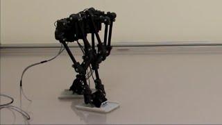 Design and Fabrication of a Bipedal Robot using Serial-Parallel Hybrid Leg Mechanism