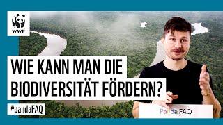 Wie kann man Biodiversität fördern? Autocomplete Challenge mit Naturschutzpolitik-Experte #pandaFAQ