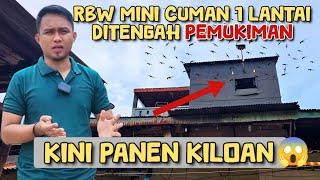 LUAR BIASAA‼️Seperti ini hasilnya, gedung walet mini 1 lantai ditengah pemukiman