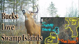 Hunting Swamp Islands; Strategy