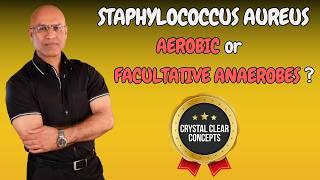 Staphylococcus Aureus | Aerobic or Facultative Anaerobic Bacteria