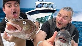 Huge Fish! On New Boat!