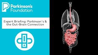 Expert Briefing: Parkinson's & the Gut Brain Connection | Parkinson's Foundation