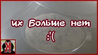 Хроники кухни #2 - Падение недоамлетианцев