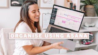 how i organise and plan using Asana