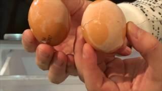 What happens if an egg put in freezer