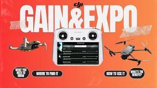 "DJI Fly App Tutorial: Optimize Expo, Gain & Yaw for Smoother Drone Footage"