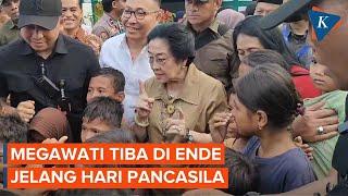 Momen Megawati Tiba di Ende Jelang Harlah Pancasila, Disambut Tarian Toja Pala