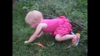 Маленькая девочка тянет морковку... (а далее =)