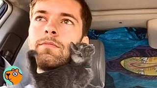 Guy Spots Tiny Kitten In The Middle Of The Desert And Has To Help | Cuddle Buddies