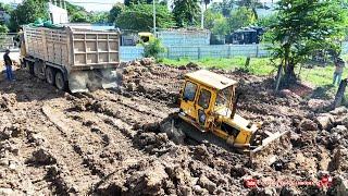 Incredible! Bulldozer Stuck In Deep Mud And Dump Trucks Pulling Out | Land Filling Up Projects