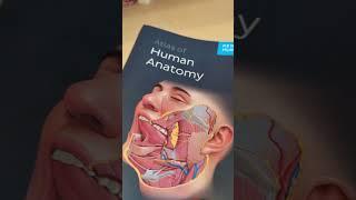 KENHUB Atlas of Human Anatomy