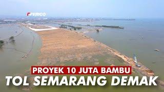 PROYEK 10 JUTA BAMBU TOL SEMARANG DEMAK | TOL TANGGUL LAUT MATRAS BAMBU VIDEO DRONE