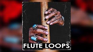ROYALTY FREE FLUTE SAMPLE PACK / LOOP KIT (Samples for Trap,Rap,Hip hop and Drill) -Fitness