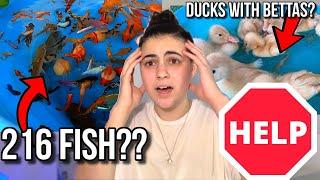 HELP! The WORST FISH YouTube Channel EVER. . . (Reacting To Fish Abuse)