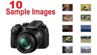 Point & Shoot LUMIX FZ1000 II Photography [SAMPLE IMAGES] 1" Sensor LONG-REACHING Bridge Camera