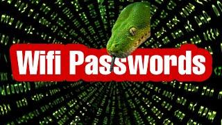 Get WiFi Passwords With Python  |  python project for beginners