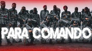 PARA COMANDO STATUS |Para SF Toppers video |Para Army |#parasf #army #armystatus