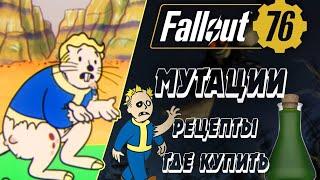 Где и как купить рецепты мутаций в Fallout 76, а так же приобрести сыворотку мутаций.