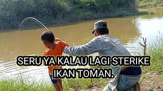 HAMPIR JATUH GARA GARA STERIKE  IKAN TOMAN ANAK KU HAMPIR KAYUH