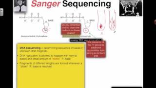 Sanger Sequencing (2016) IB Biology