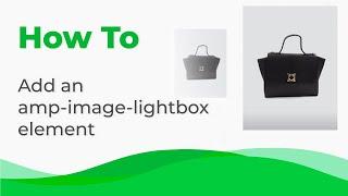 How to Add an Amp-image-lightbox Element from Stripo