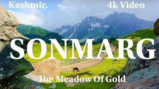 Sonmarg Kashmir 2023 - Paradise On Earth | Thajiwas Glacier | Mystic Glacier In India | Zero Point