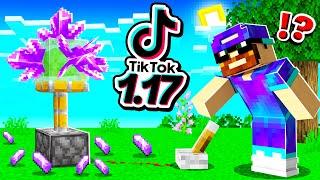 Je teste des HACKS TikTok 1.17 secrets sur Minecraft !