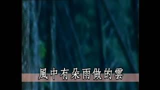 卓依婷-风中有朵雨做的云 (Timi Zhuo-Feng Zhong You Duo Yu Zuo De Yun)