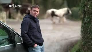 Watch 'RTÉ Investigates: Horses - Making a Killing’ on Wednesday, 12 June 2024