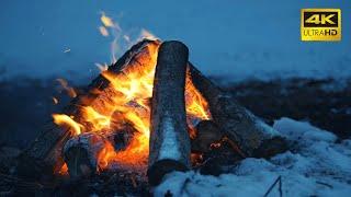  A Crackling Campfire During a Windy Winter Night (10 HOURS) 50FPS  Cozy Fireplace 4K for Sleeping