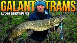 Huge Pike with Tobias and Jojje | Galant Trams