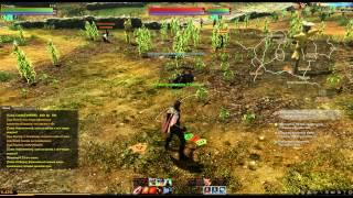 Archeage Тест производительности.