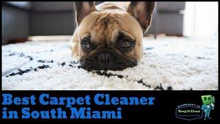 Top-Rated Carpet Cleaner in South Miami | Keep It Clean Carpets and Tile