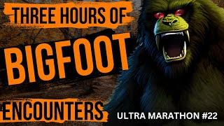 Bigfoot Ultra Marathon #22 - Three Hours Of Bigfoot Encounters