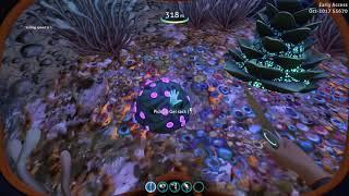 Where to find Gel Sacks on Subnautica