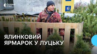 У Луцьку запрацювали ялинкові ярмарки: скільки коштують хвойні дерева до свят