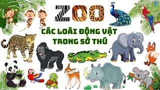 Con Gì Đây? Các Loài Động Vật Trong Sở Thú| Zoo Animals| Con voi, con hổ, cá sấu, gấu trúc, sư tử