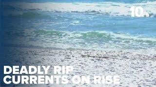 Expert discusses rise in deadly rip currents