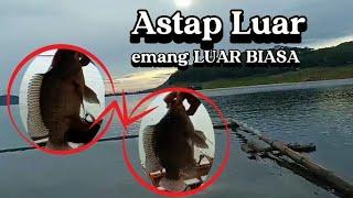 MANCING JATILUHUR TERBARU//Eps17/IKAN NYA GEUDE" GUYS.