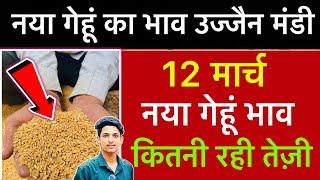 Ujjain Mandi Gehu Ka Bhav | Wheat Price Today | Ujjain Mandi Bhav Today | 12 March 2025